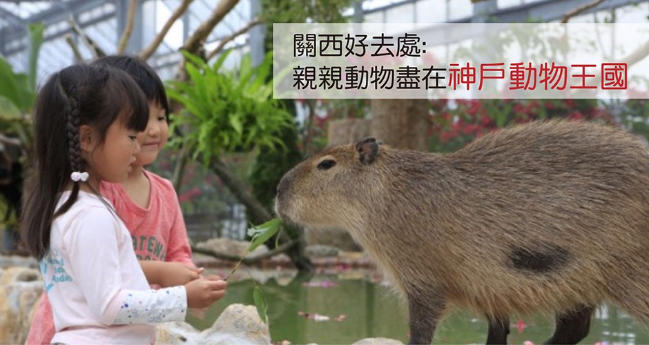 關西好去處:  親親動物盡在神戶動物王國